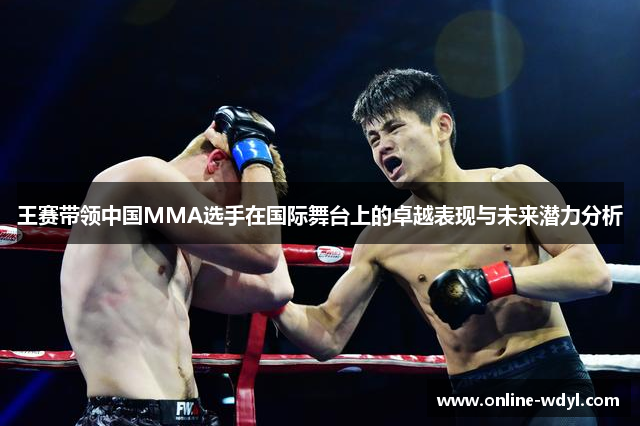 王赛带领中国MMA选手在国际舞台上的卓越表现与未来潜力分析