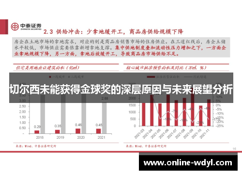切尔西未能获得金球奖的深层原因与未来展望分析